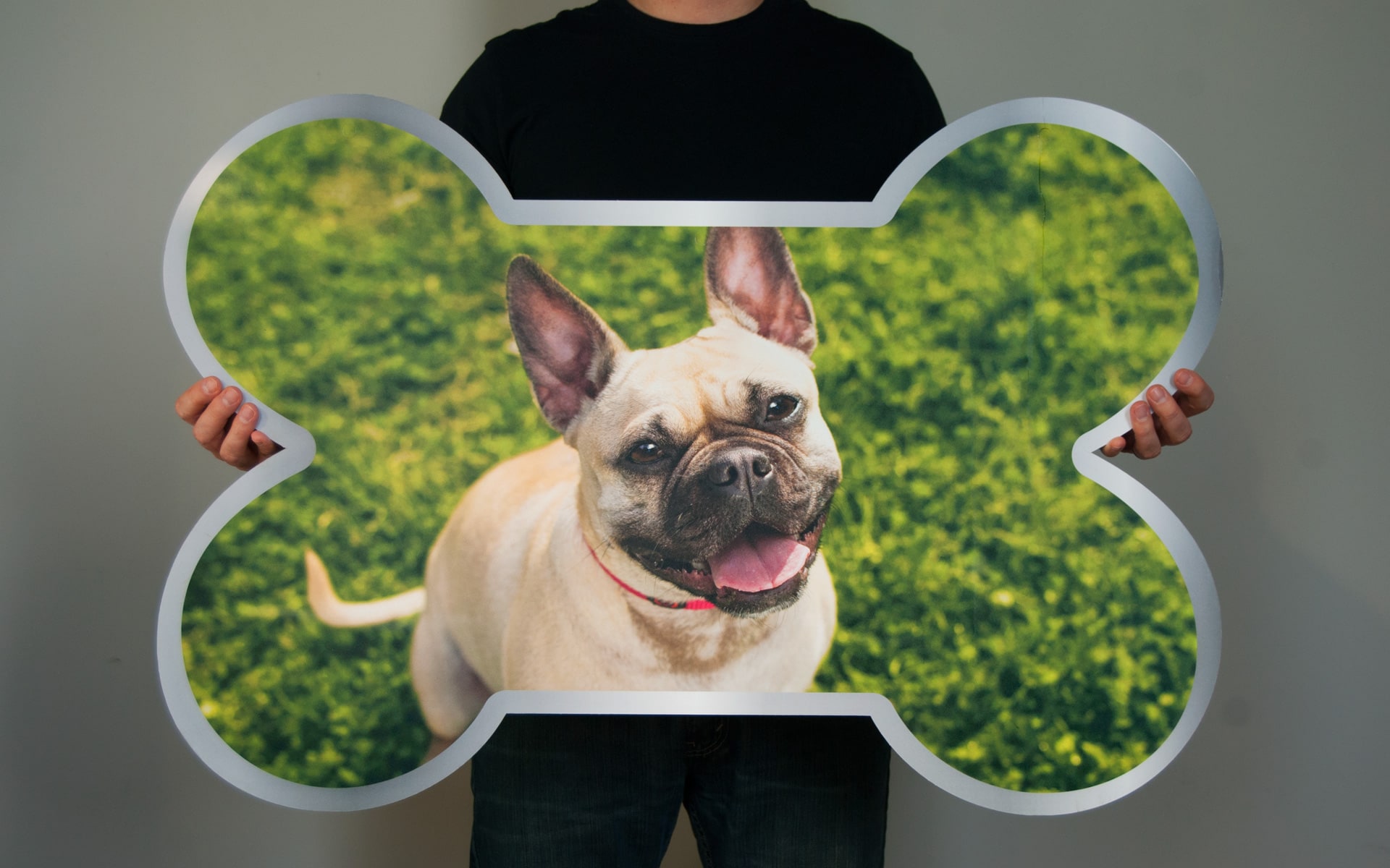Whole Paws in-store signage