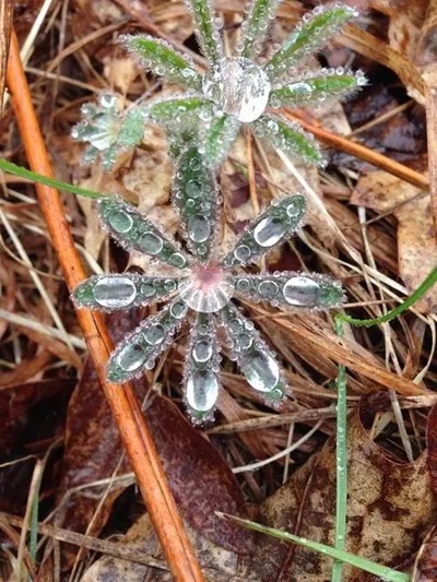 Cedar Creek Township beauties to discover