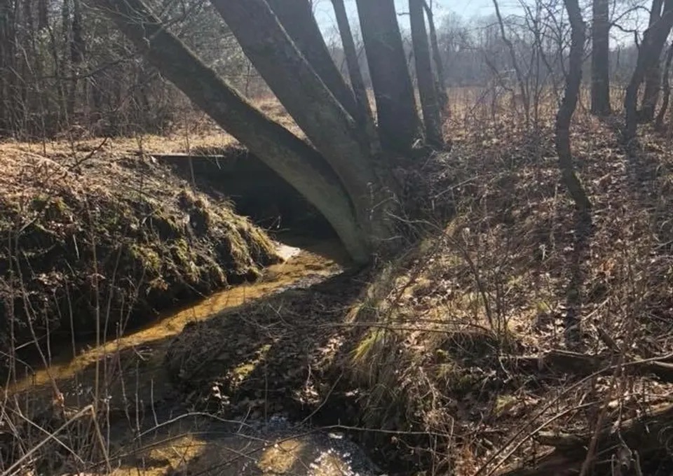 Nature abound awaits you in Cedar Creek Township