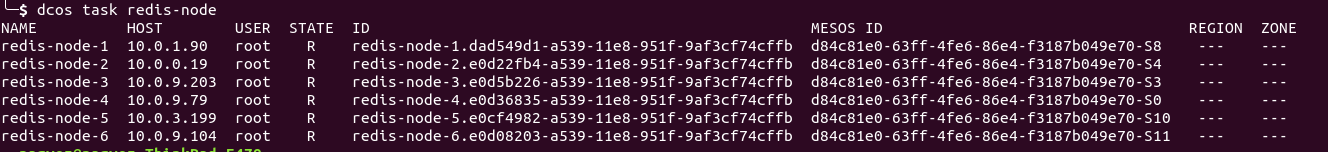 Running Redis Nodes