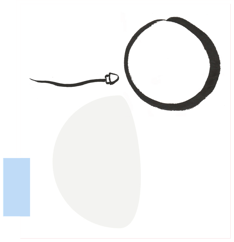 TCM Healthcare — London fertility clinic