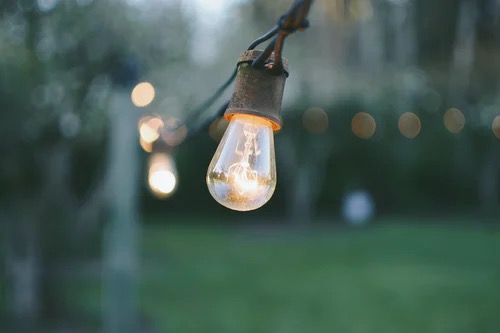 Lightbulb hanging from a wire in the woods