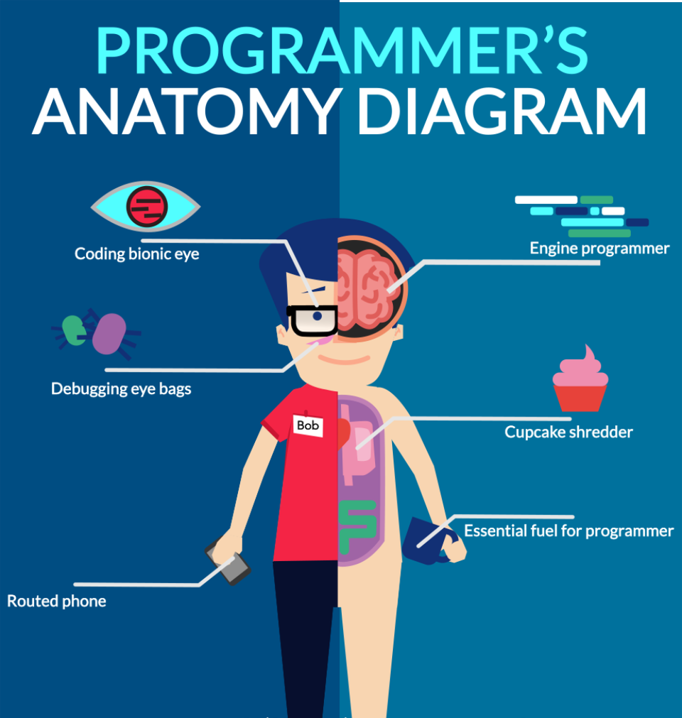 Remote Developer - How Does A Remote Developer Work
