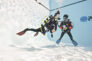 Go Pro, Become a Padi Instructor