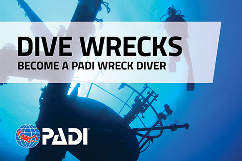 Wreck diver