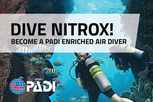 Enriched air diver