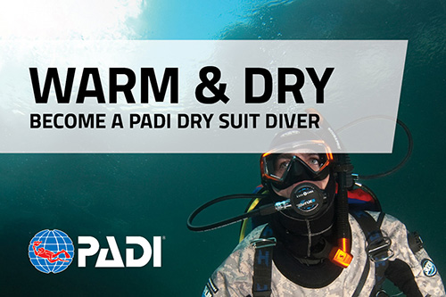Dry suit diver