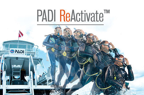 ReActivate