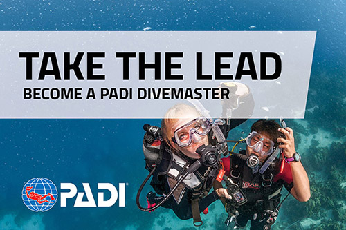 Divemaster course