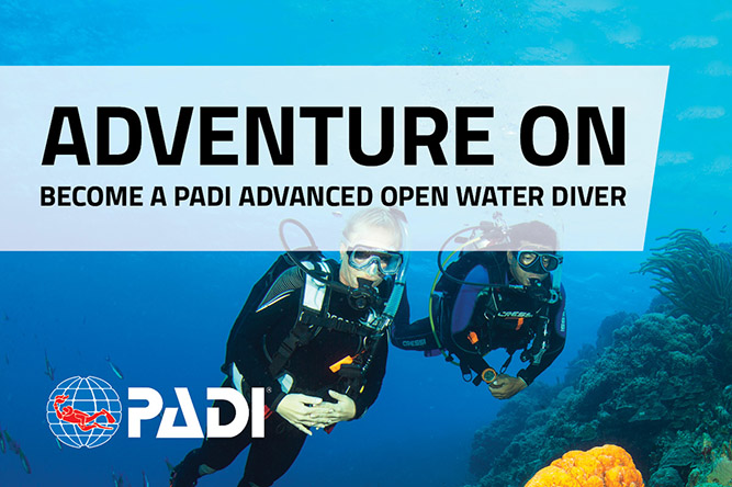 Advanced open water