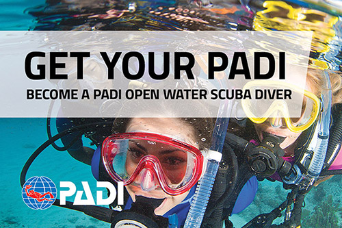 Open water diver course