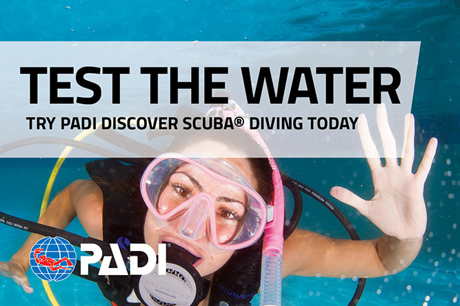 Discover Scuba Diving