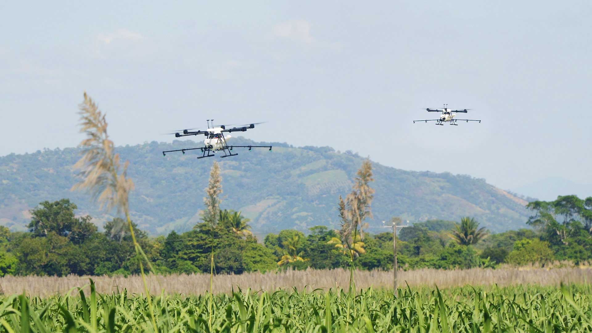 Precision Crop Spraying Drones Hylio Agrodrone