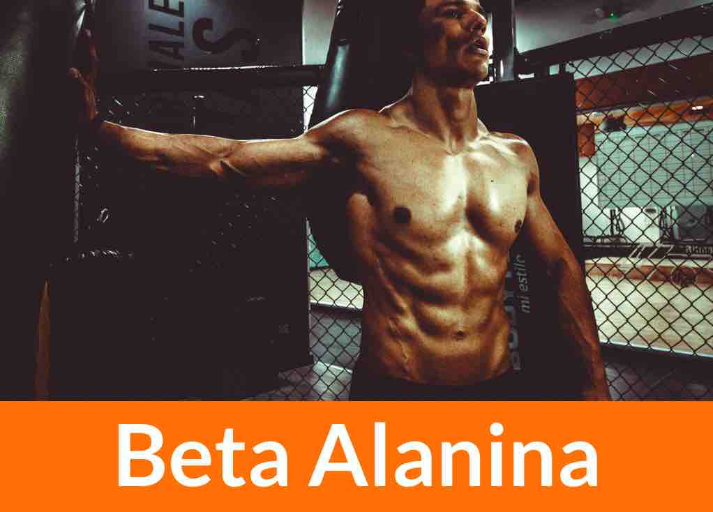 beta alanina