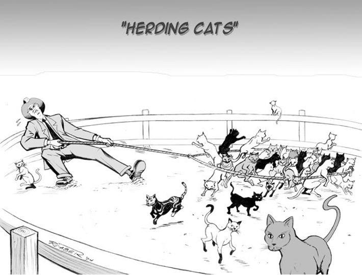 Herding Cats: What MSPs Really Do