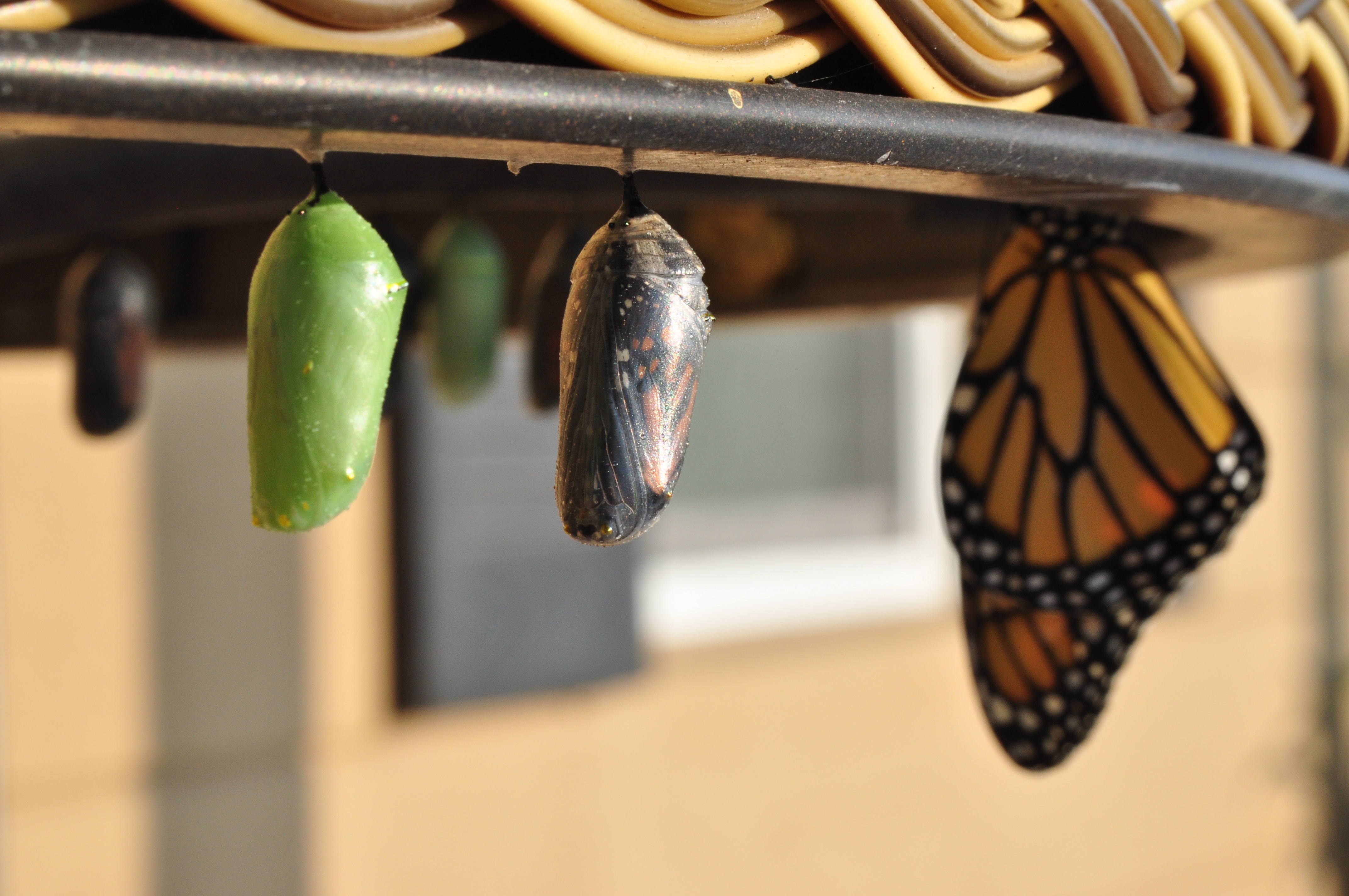 Sustainability transformation: are you ready for the change?