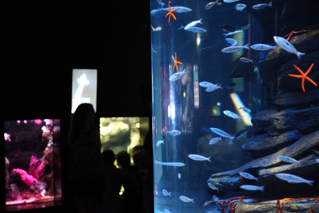 Aquarium Paris anniversaire enfants