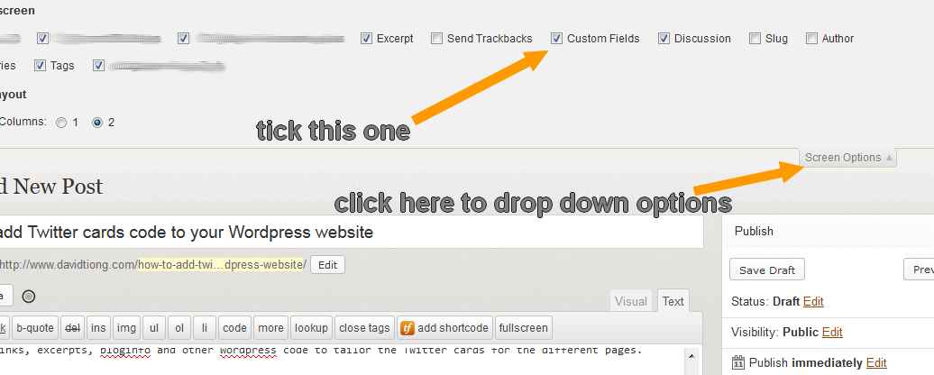 custom fields in screen options