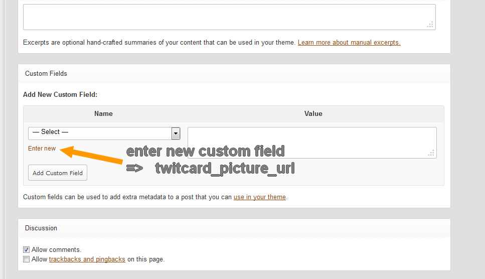 add new custom field