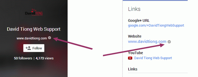 verified Google Publisher markup