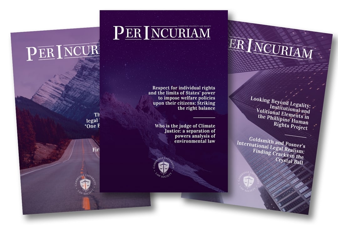 Per incuriam essay 06 picture