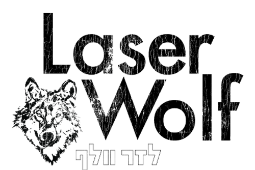 Laser Wolf Brooklyn | Boka Restaurant Group