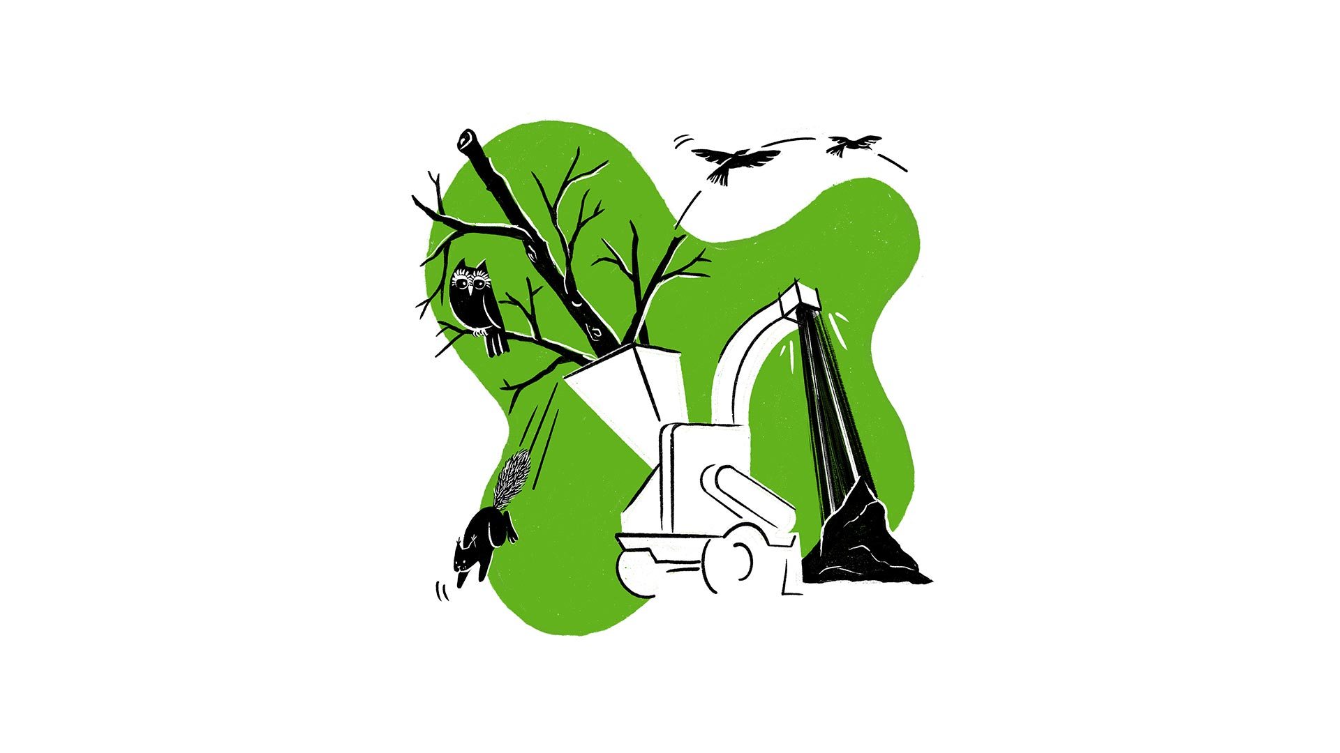 Anthropocene illustrated, illegal logging