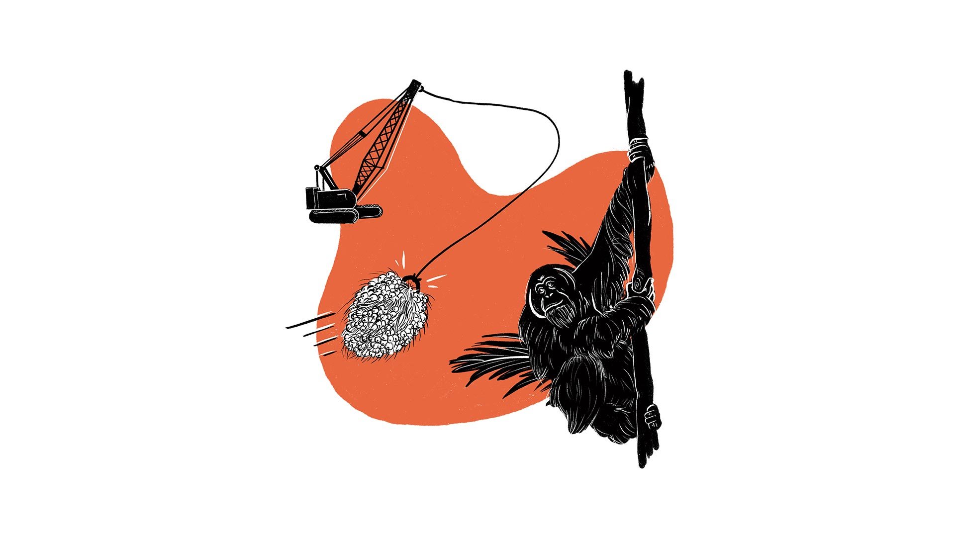 Anthropocene illustrated, palm oil industry