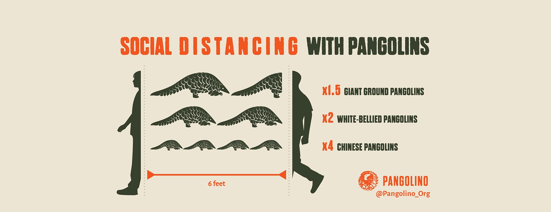Pangolino social distancing infographic