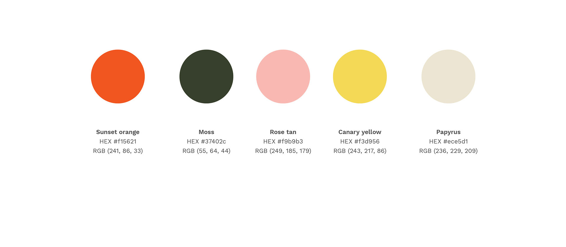 Pangolino colour palette