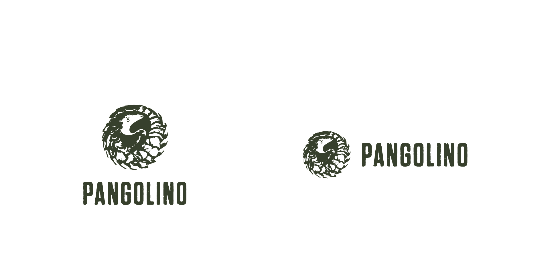 Pangolino logo variations