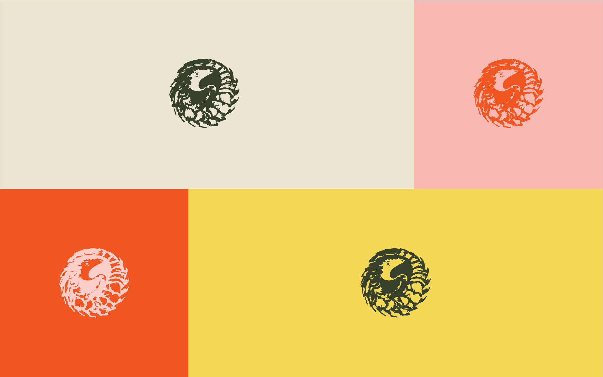 Pangolino colour variations
