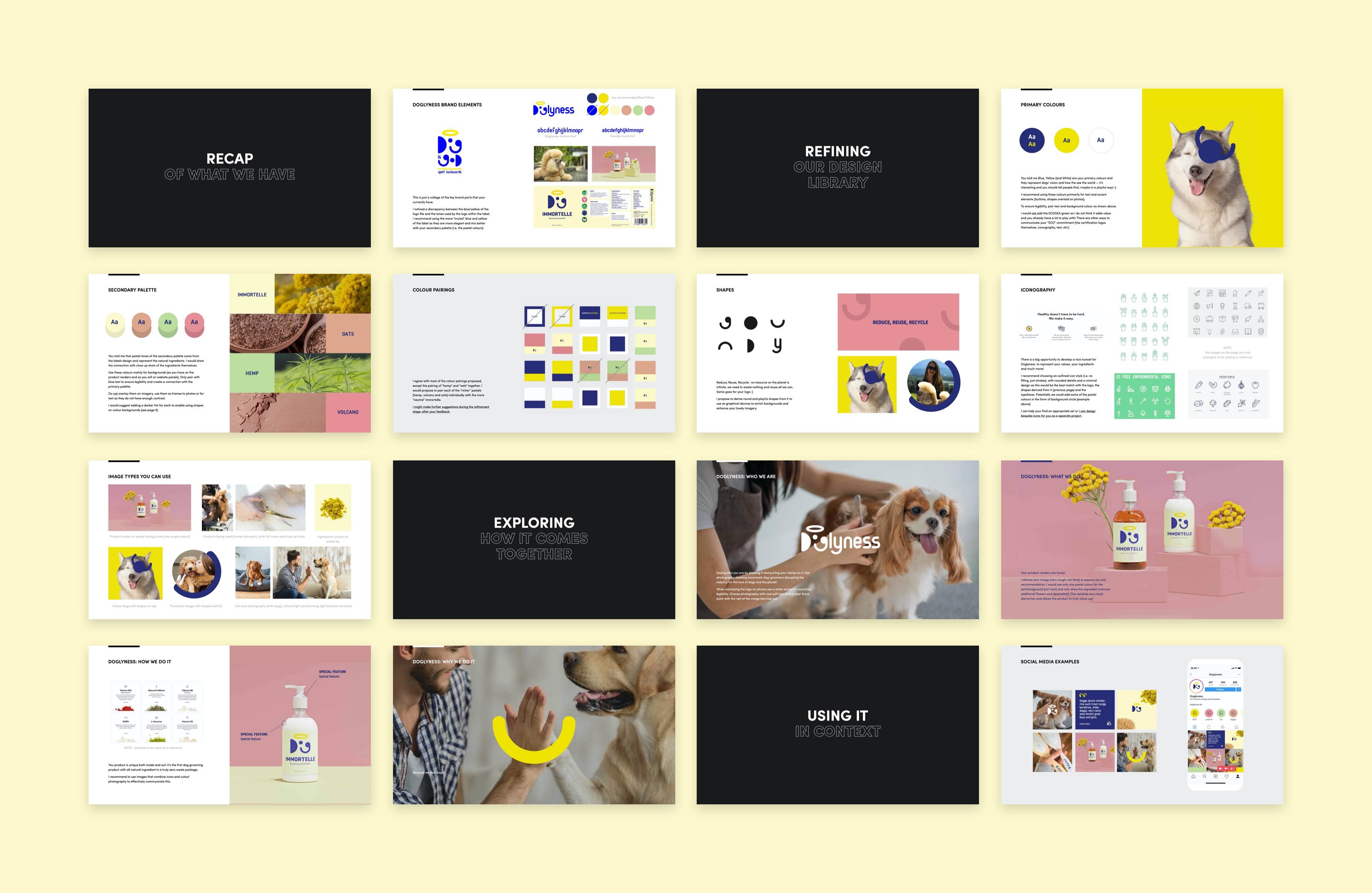 Visual strategy exploration for Doglyness