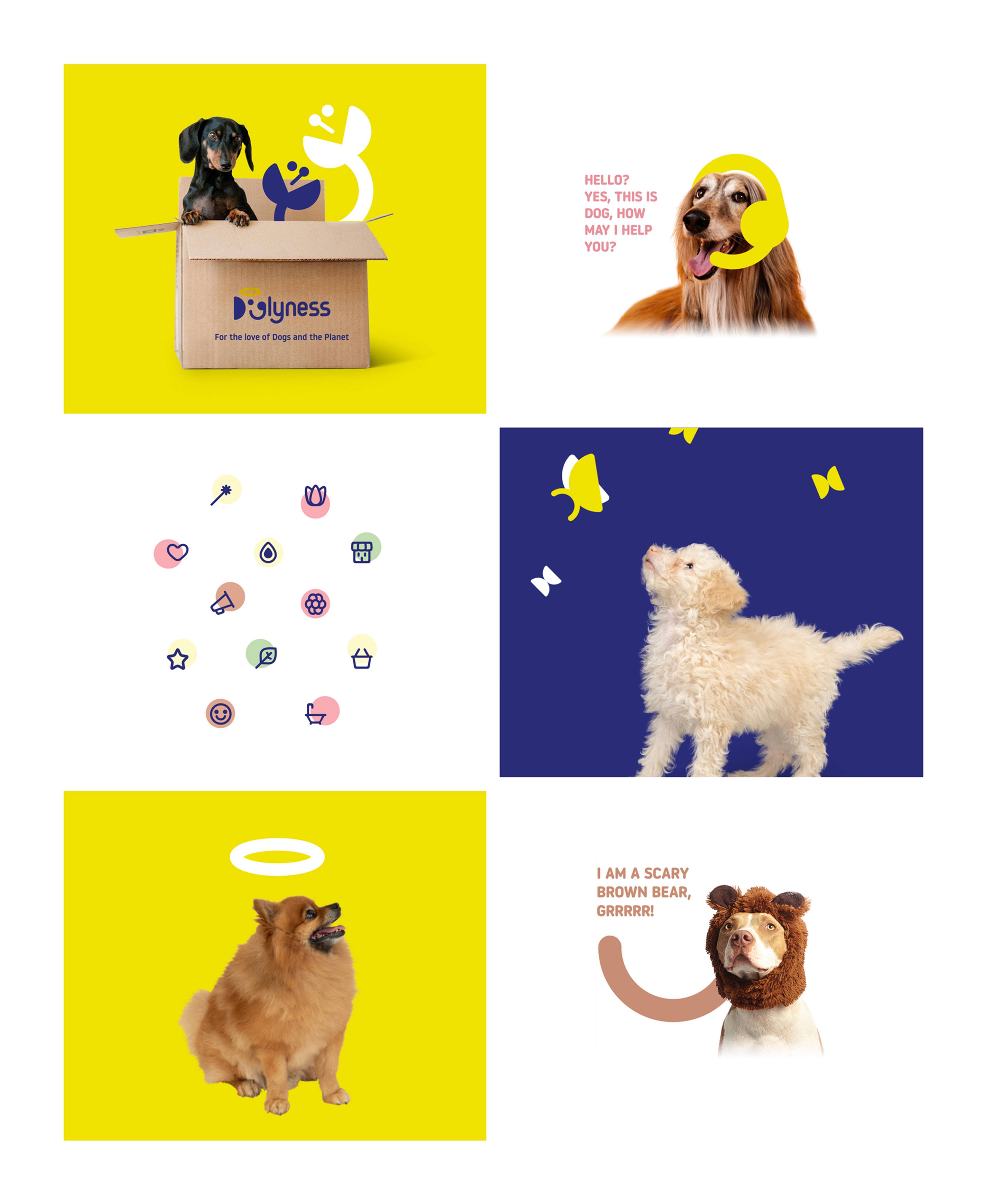 On-brand image stylisation and treatment for Doglyness