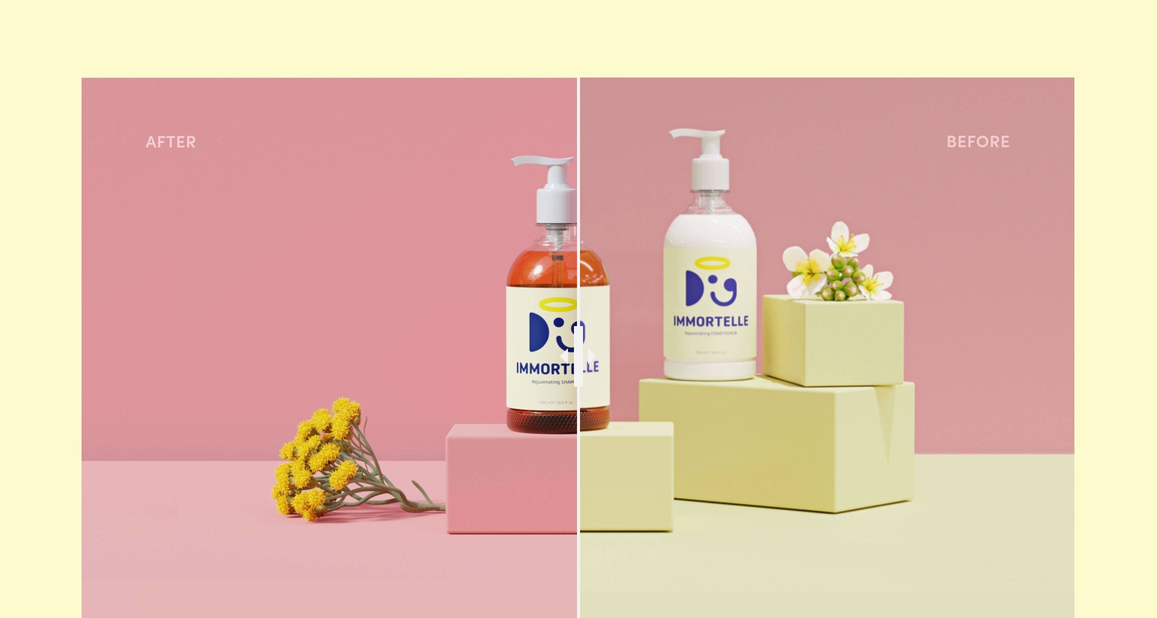 Product render design consultation and art direction for Doglyness