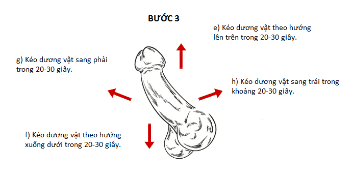 cách làm to dương vật 3