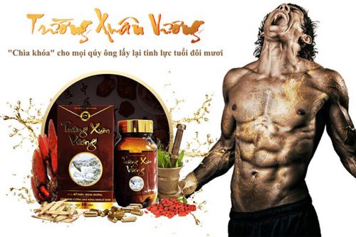 Trường Xuân Vương giá bao nhiêu tiền một hộp, mua ở đâu chính hãng?