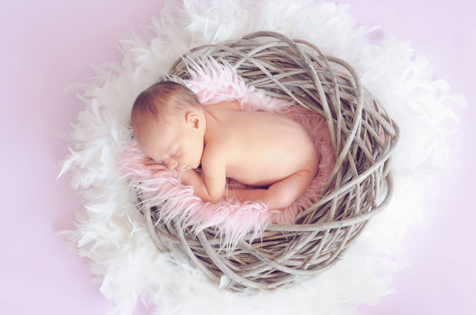 newborn photography