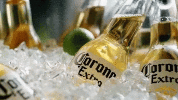 Corona Extra