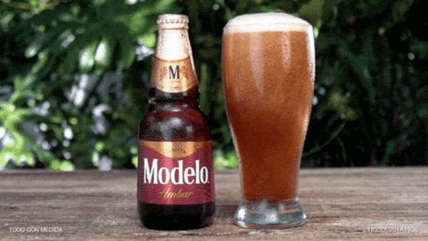 Modelo Negra