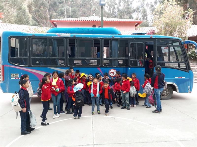 Corazones bus