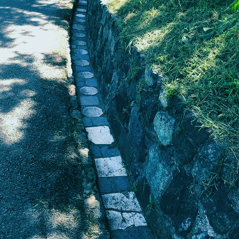 There are grave markers set along a paved pathway - some are octagons and some are square, they're arranged in an alternating pattern. The gravestones stand out because they are bright white against the other darker stones
