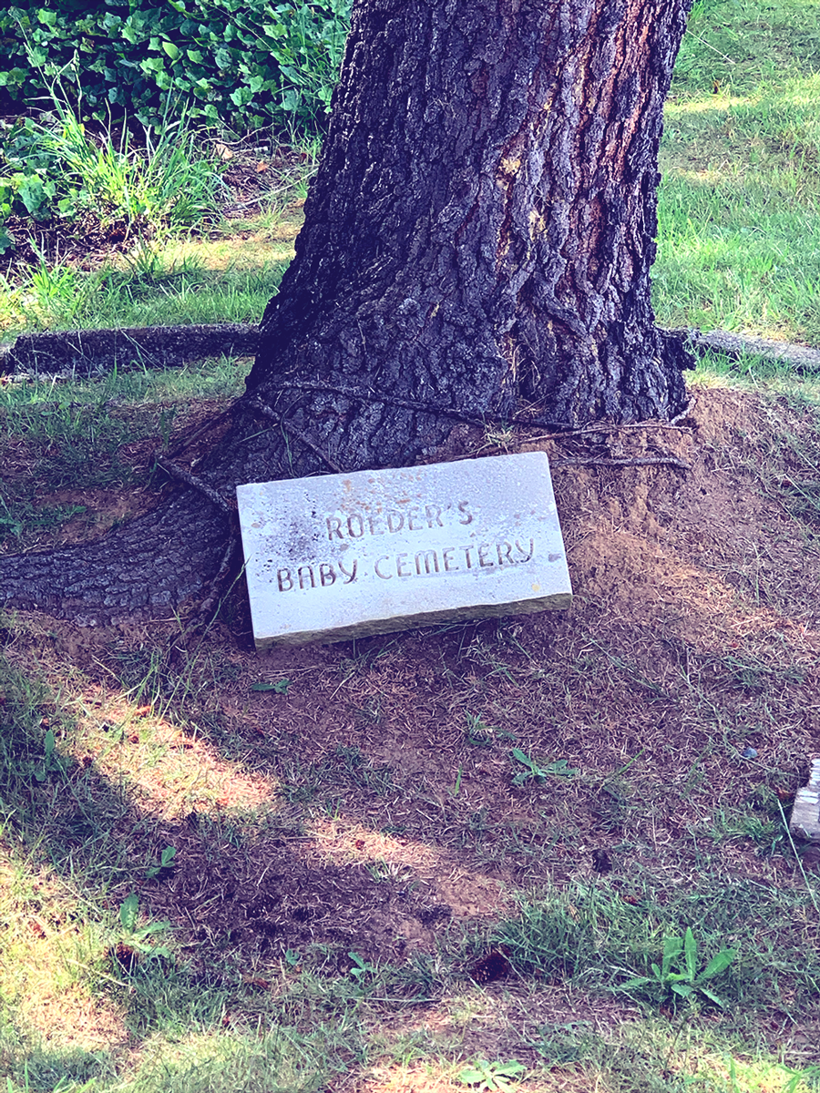 A small rectangular stone marker, leaned up against the roots of a pine tree. The stone is inscribed "Roeder's Baby Cemetery"