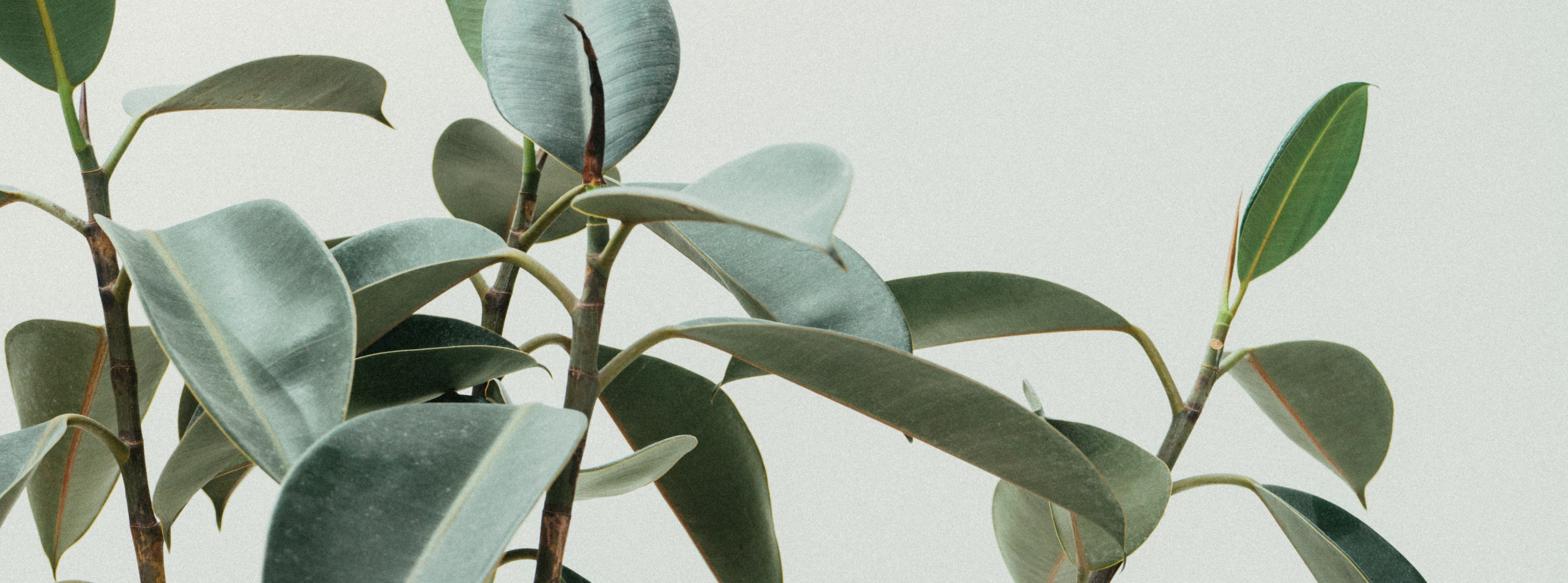Places with superior indoor air
