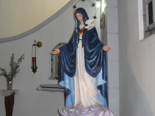 virgen de lanus de pie fondo