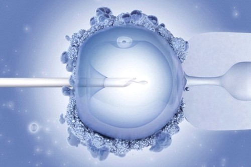 in vitro