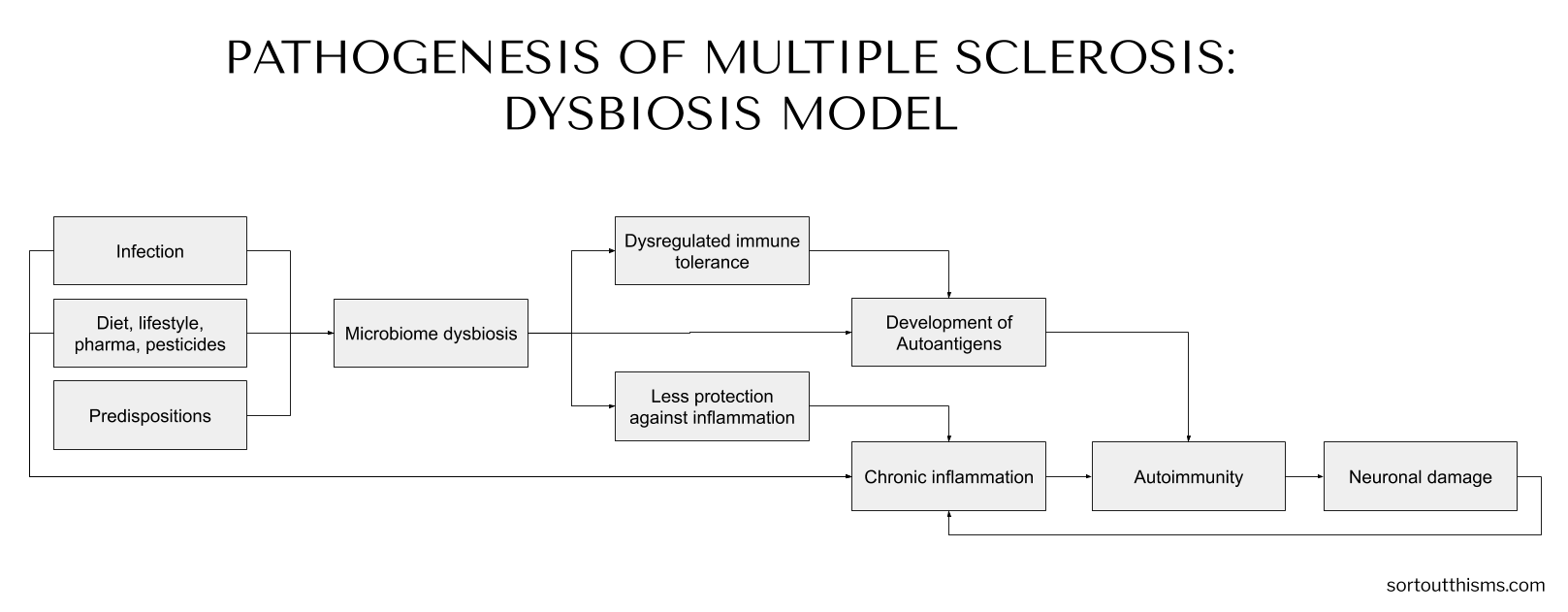 Pathogenesis of Multiple Sclerosis: Dysbiosis Model | Sort Out This MS