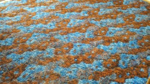 Phoenix carpet