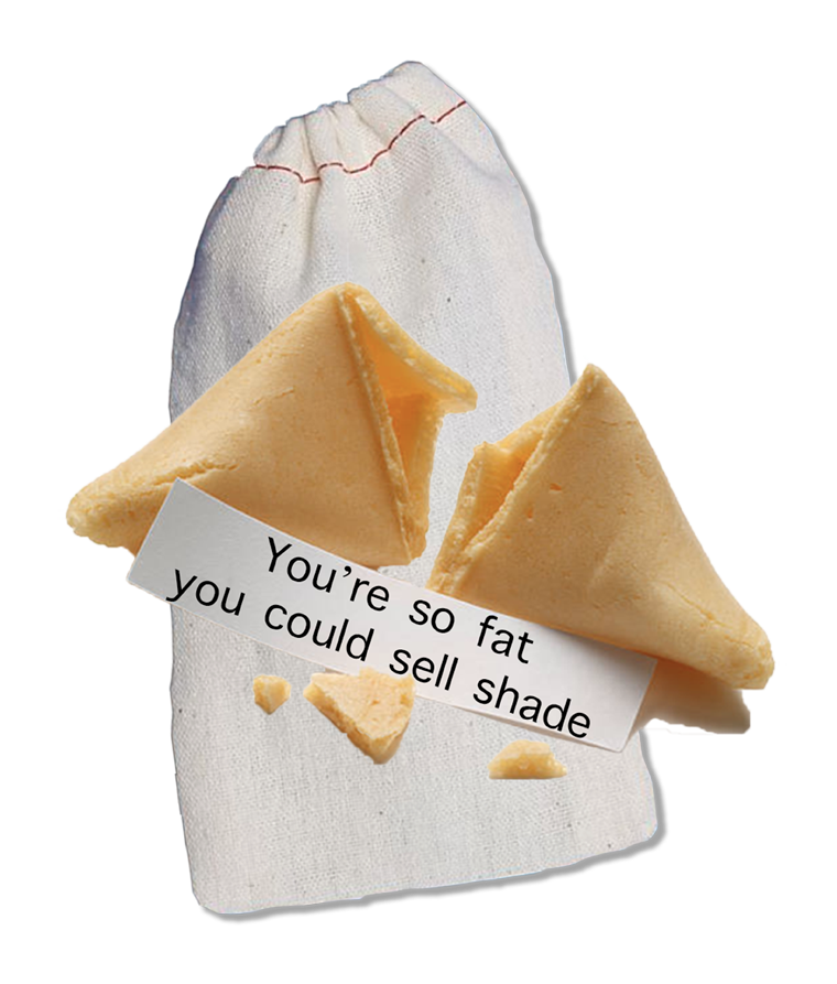 Offensive custom fortune cookies to be used as a gag gift for white elephant Christmas gifts or funny gifts in general.