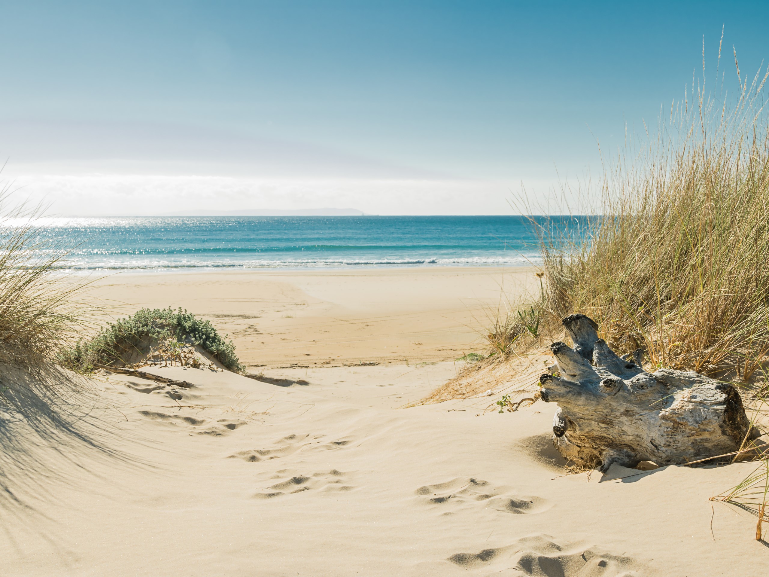 Kittiwake Holiday House Cottage Braunton Devon